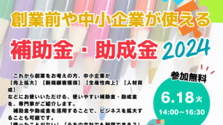 6/18 採択率を高める計画書のポイントも解説！創業前・中小企業が使える補助金・助成金2024　